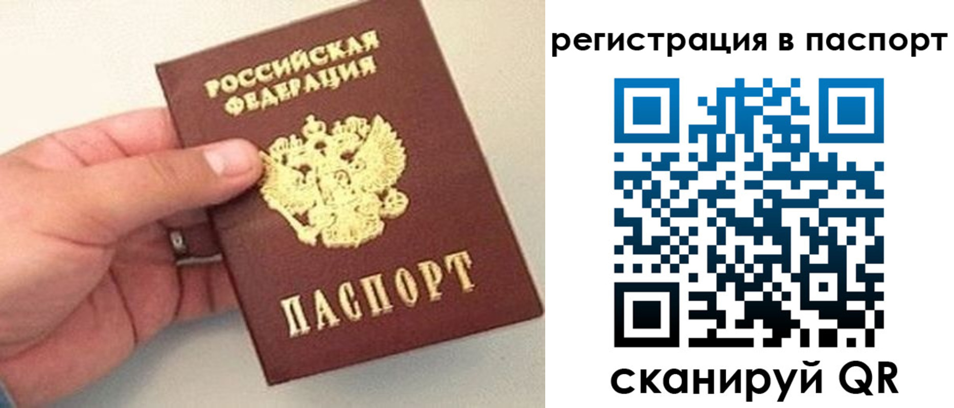 прописка законно в Высоковске